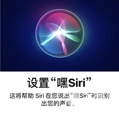 苹果12Siri不说话只显示文字怎么办