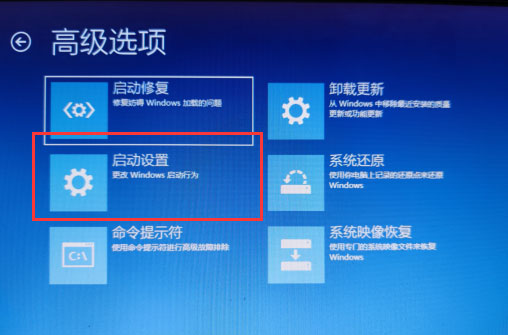 win10登录选项不见了怎么办