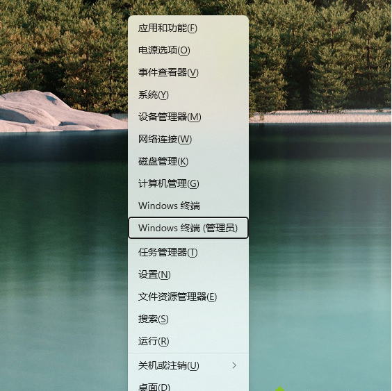 Win11应用商店下载方法