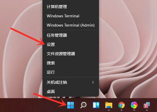 Windows11的设置在哪