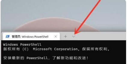 Win11命令提示符怎么打开