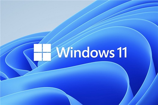 Win11外接显示器没反应怎么办