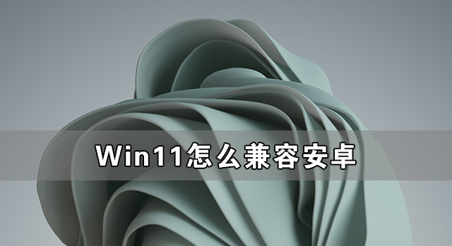 Win11怎么兼容安卓