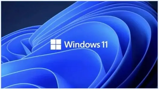 Win11更新完出现闪屏怎么解决