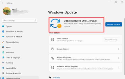 Win11怎么设置暂停更新