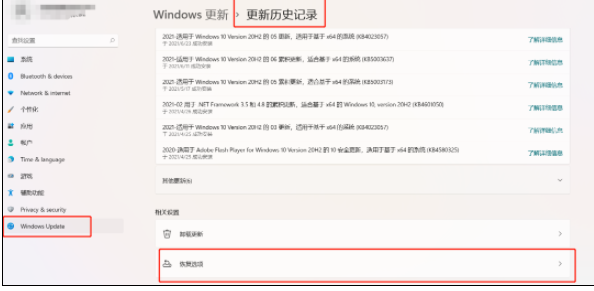 Win11绿屏重启