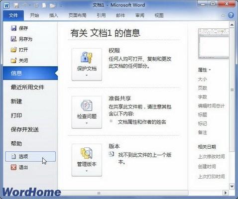 在Word2010文档窗口显示"开发工具"选项卡