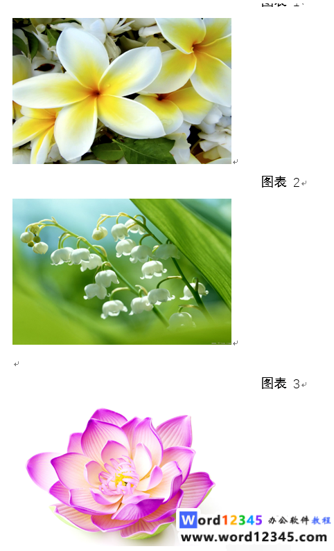 0f6d3c8d8ae4a88fc327a9d3f7f3684.png