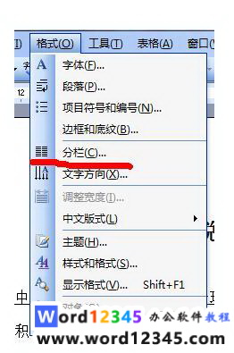 z.jpg